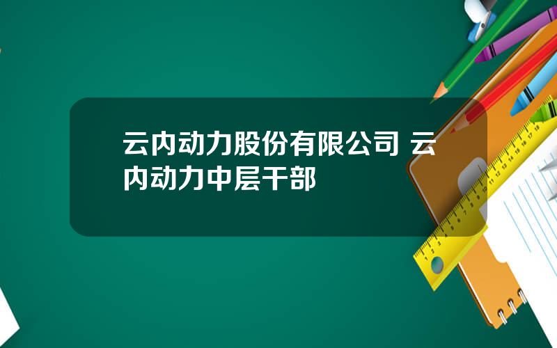 云内动力股份有限公司 云内动力中层干部